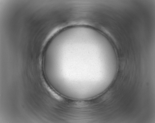 X0000081631416200702051247