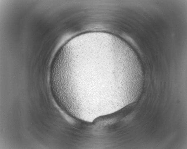 X0000081631424200702051247