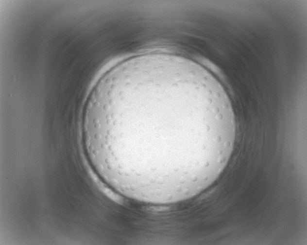 X0000081631431200702051247