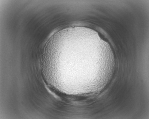 X0000081631433200702051247