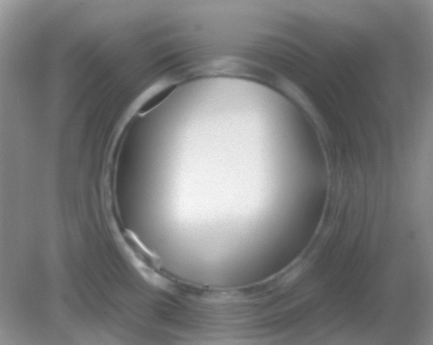 X0000081631434200702051247