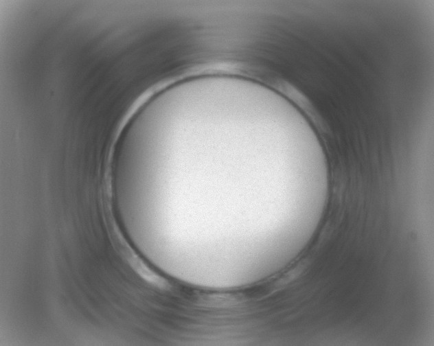 X0000081631436200702051247