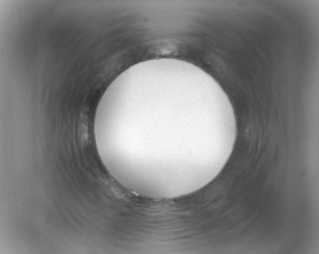 X0000081631442200702051246