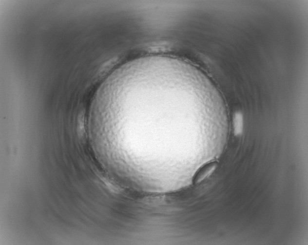 X0000081631444200702051246