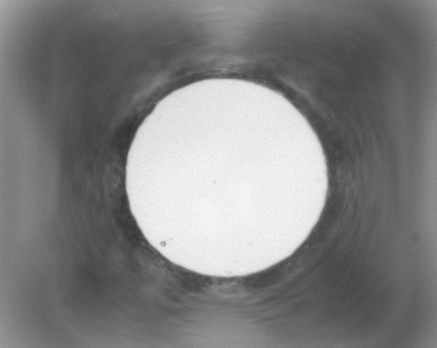 X0000081631447200702051246