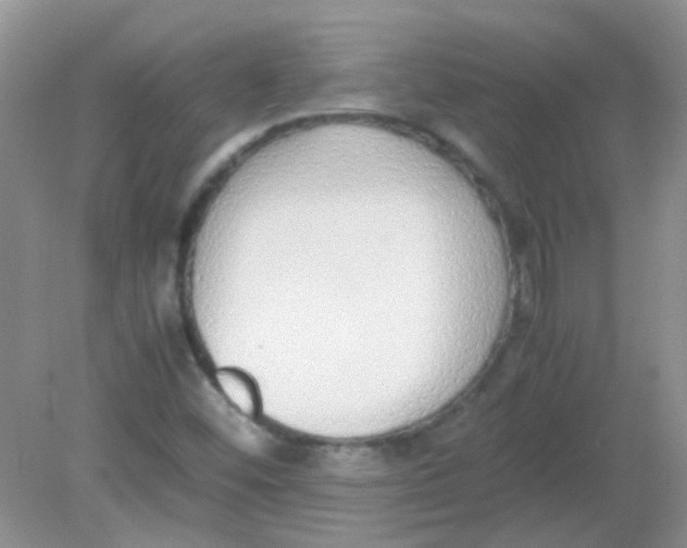 X0000081631452200702051246