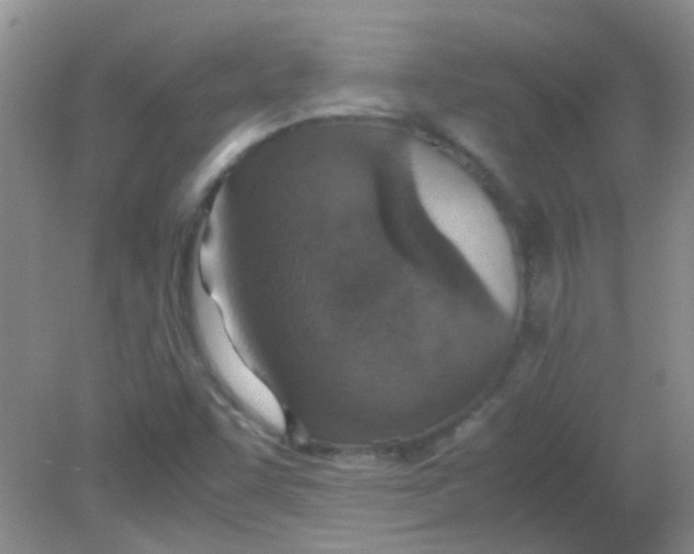 X0000081631455200702051246