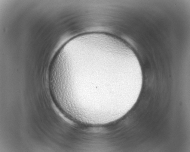 X0000081631468200702051246