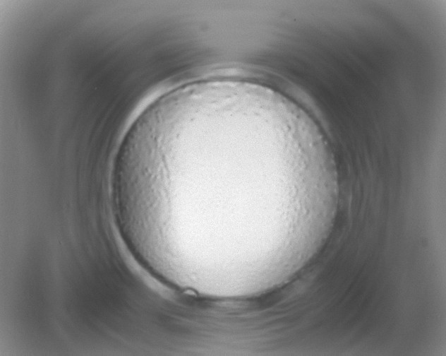 X0000081631483200702051246