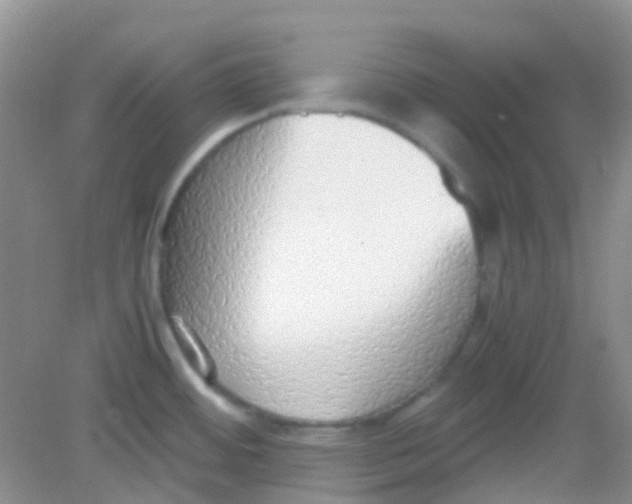 X0000081631484200702051246
