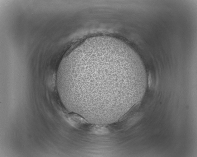 X0000081631492200702051245