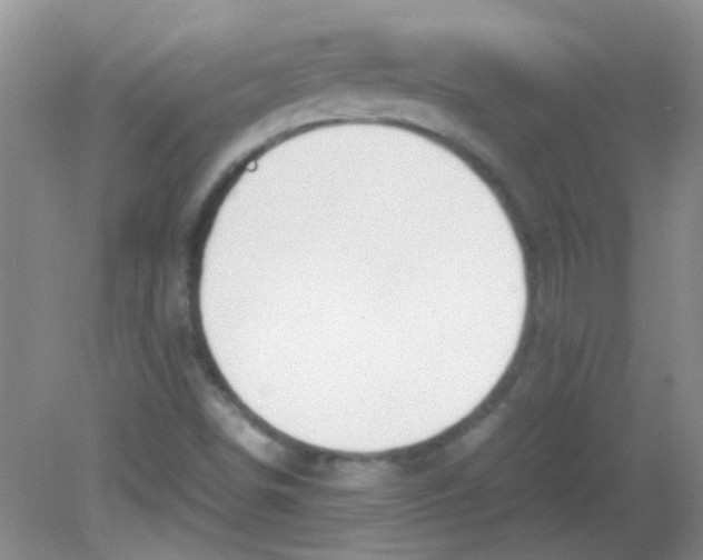 X0000081631498200702051245