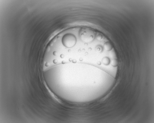 X0000081631521200702051245