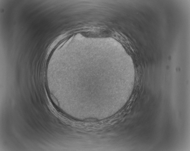 X0000081630003200702121716