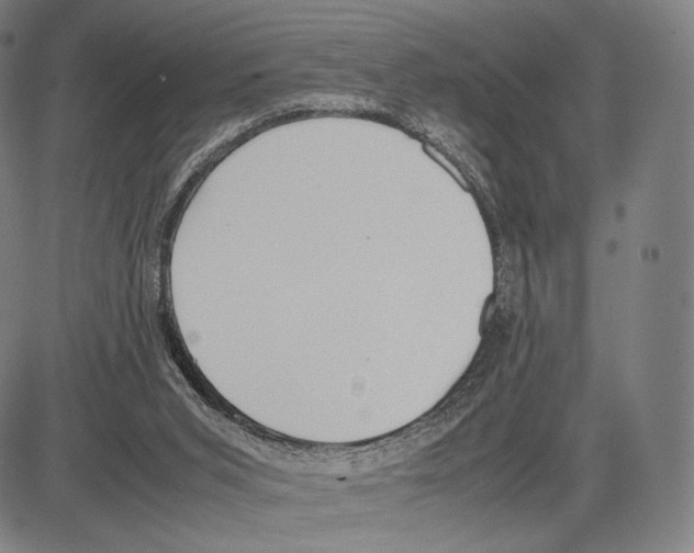 X0000081630015200702121716
