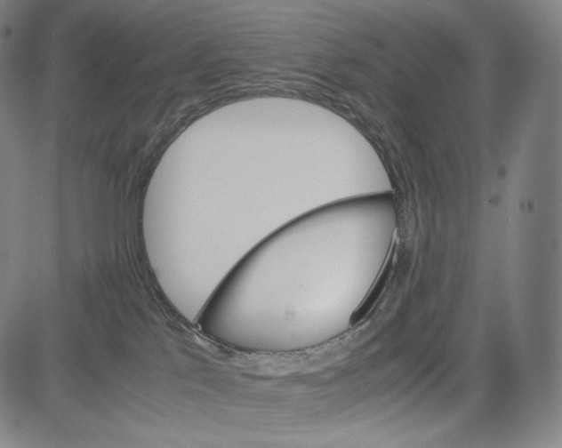 X0000081630041200702121716