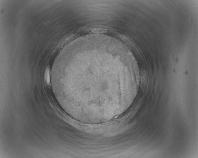 X0000081630046200702121716