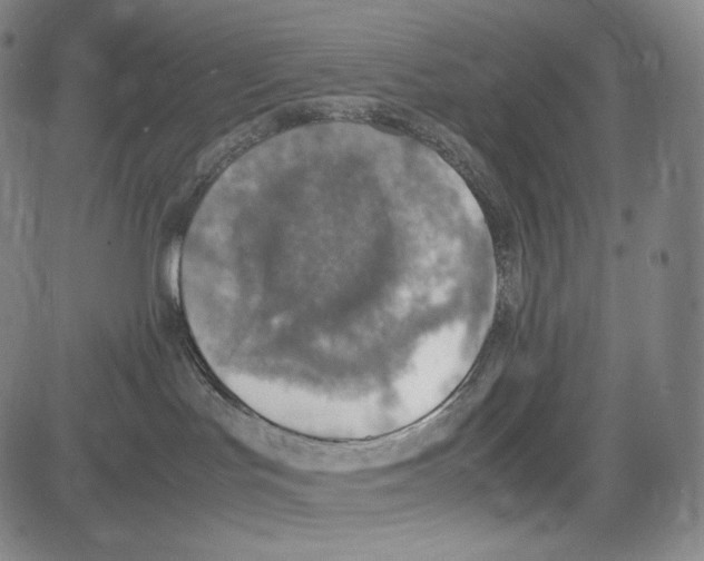 X0000081630047200702121716