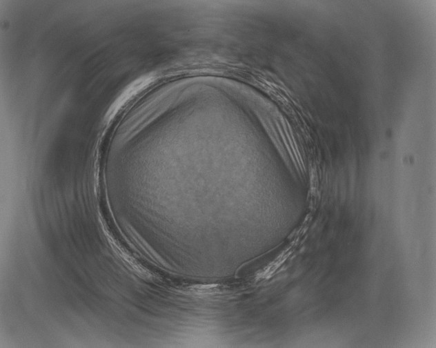 X0000081630054200702121715