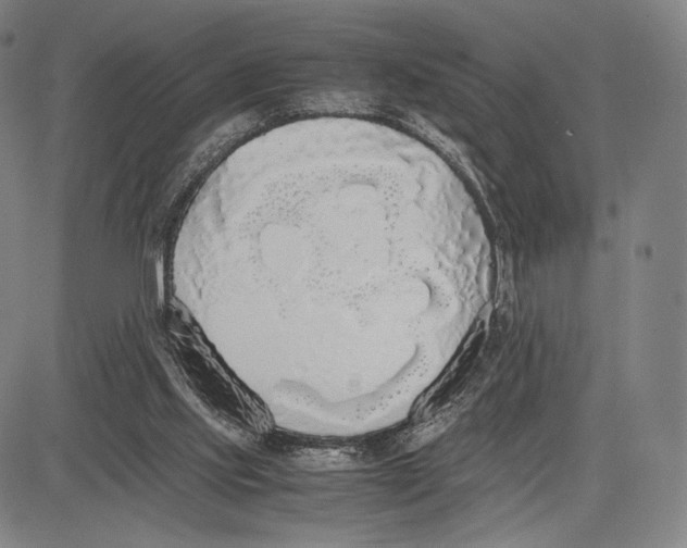X0000081630061200702121715