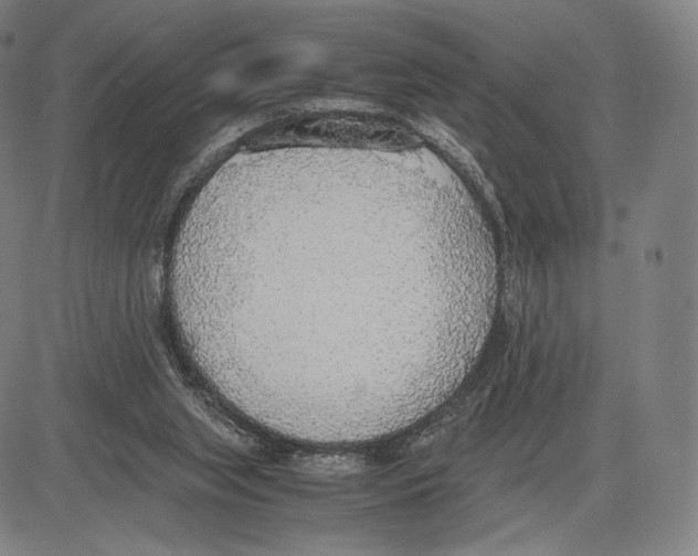 X0000081630063200702121715