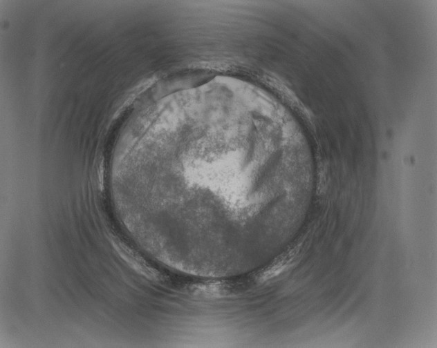 X0000081630068200702121715