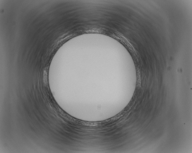 X0000081630071200702121715