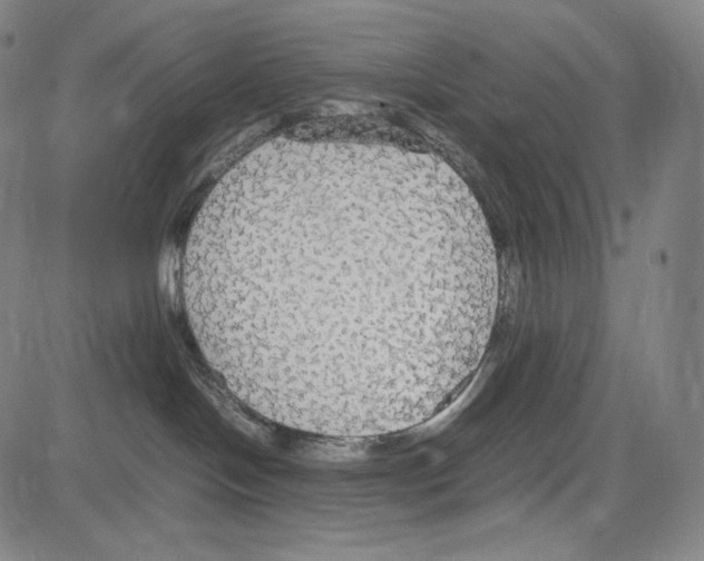 X0000081630094200702121716