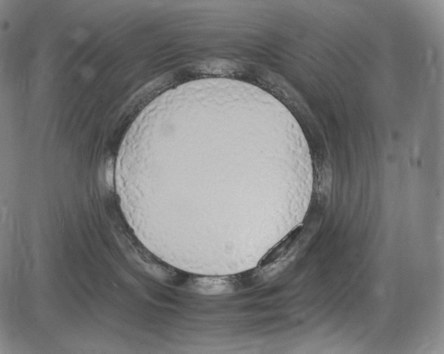 X0000081630095200702121716
