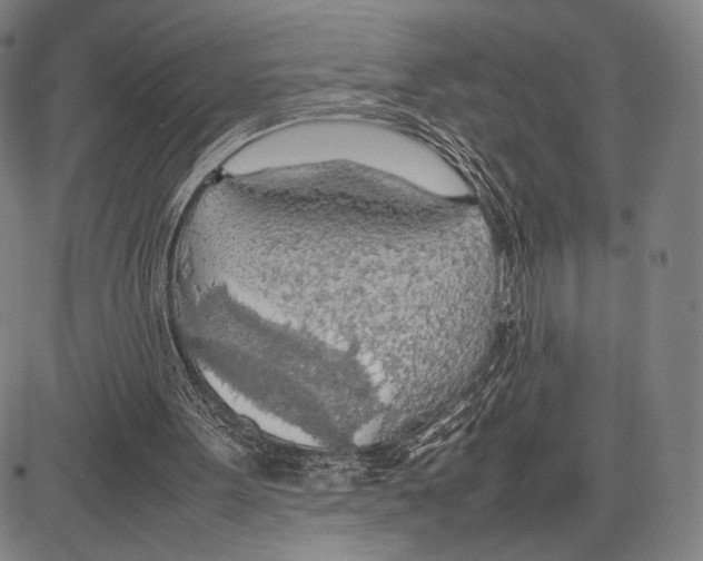 X0000081630099200702121715