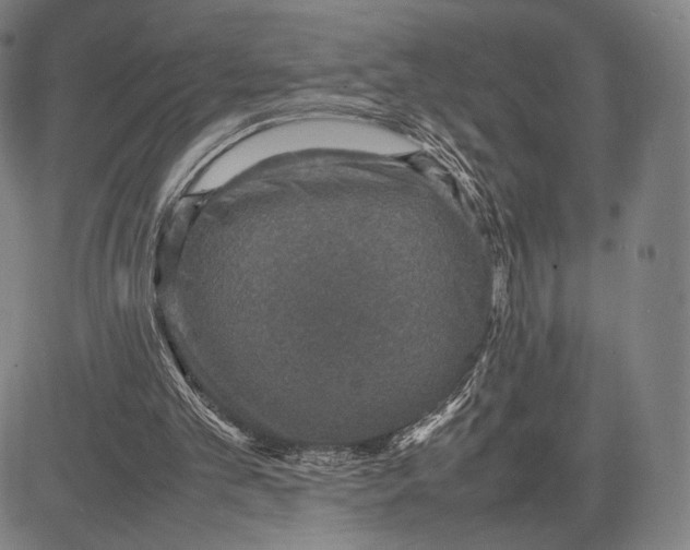 X0000081630101200702121715