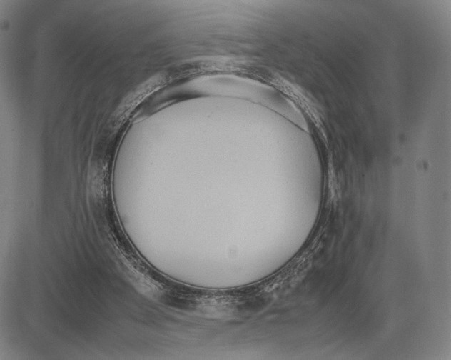 X0000081630105200702121715