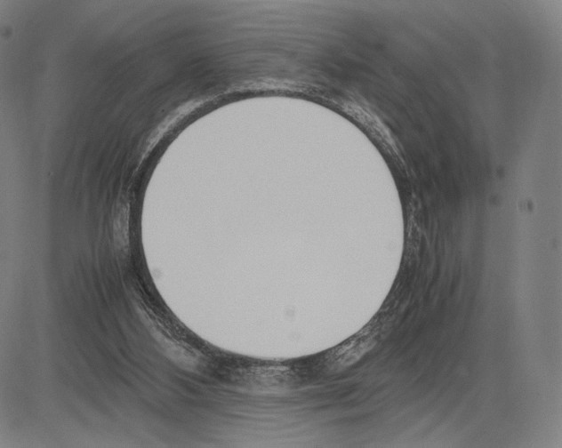 X0000081630108200702121715