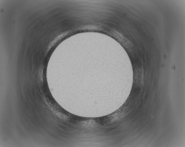 X0000081630112200702121715