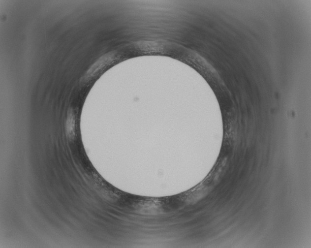 X0000081630124200702121714