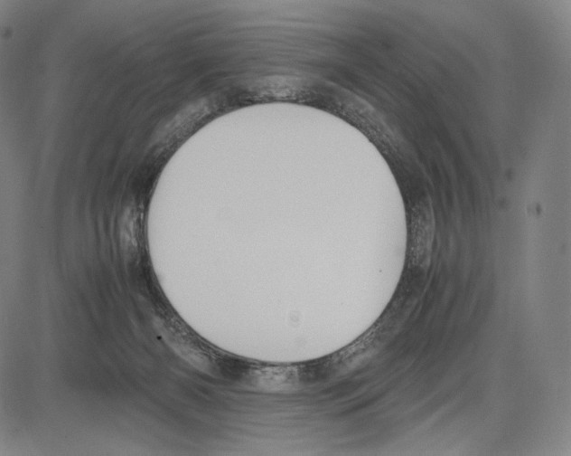 X0000081630126200702121714