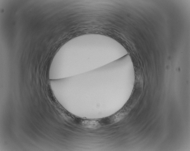 X0000081630133200702121714