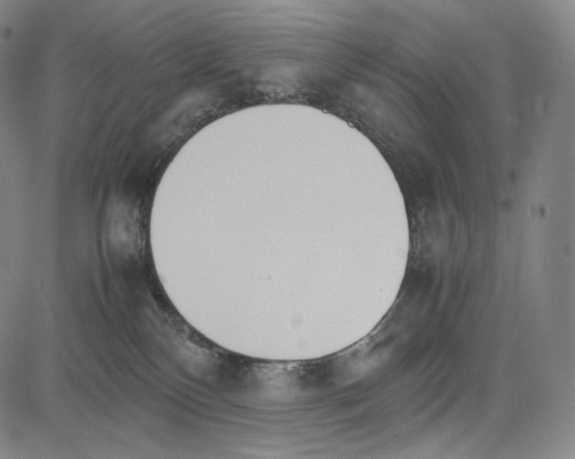 X0000081630136200702121714