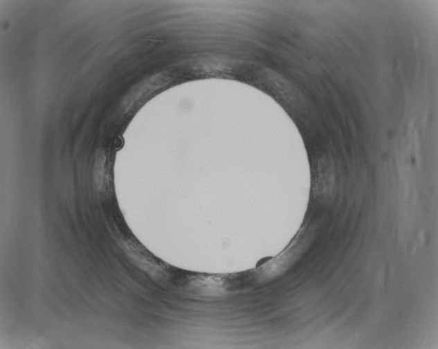 X0000081630140200702121714