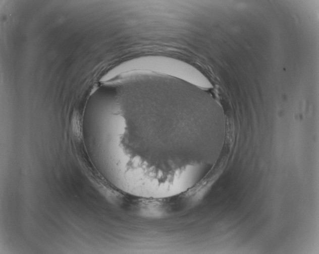 X0000081630143200702121714