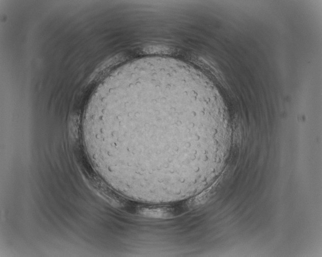 X0000081630171200702121714