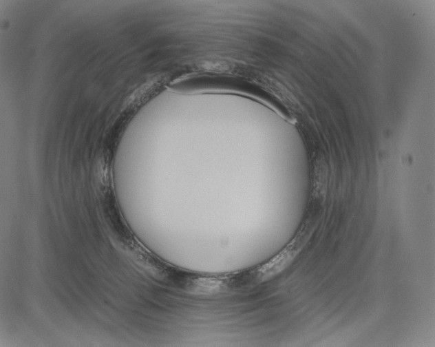 X0000081630176200702121714