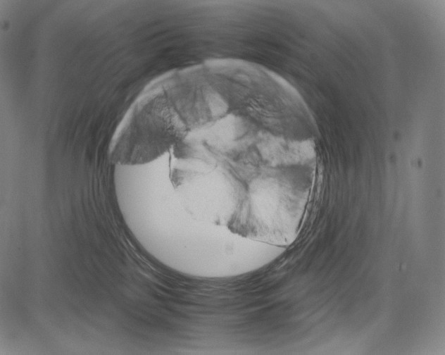 X0000081630185200702121714
