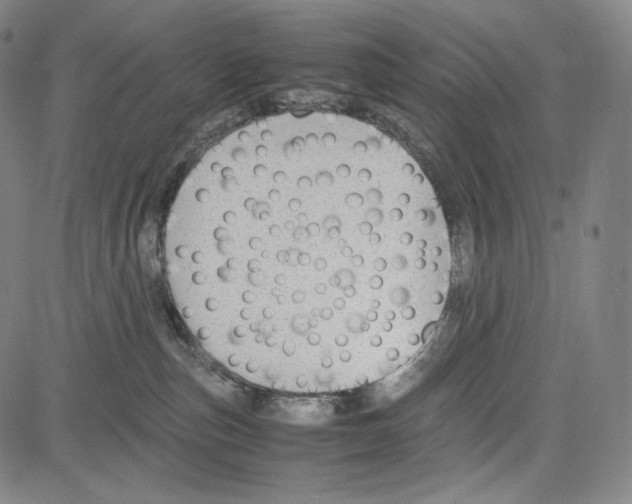 X0000081630187200702121714