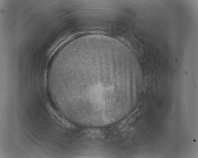 X0000081630194200702121713