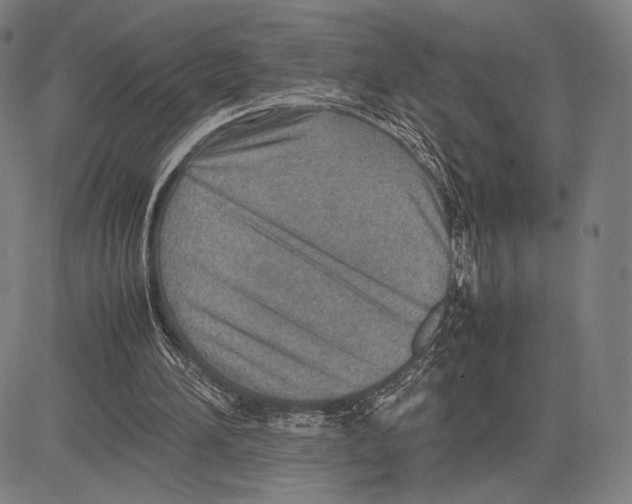 X0000081630196200702121713