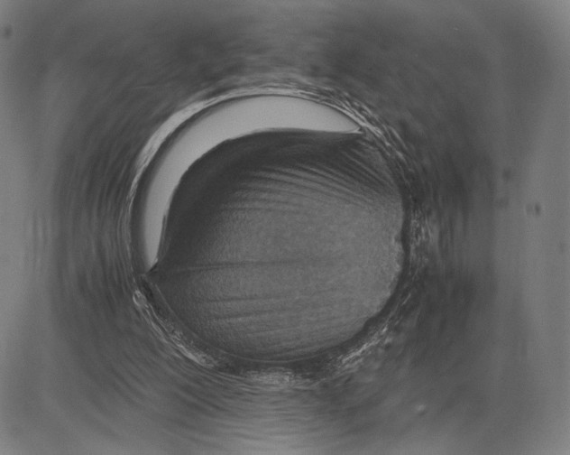 X0000081630200200702121713