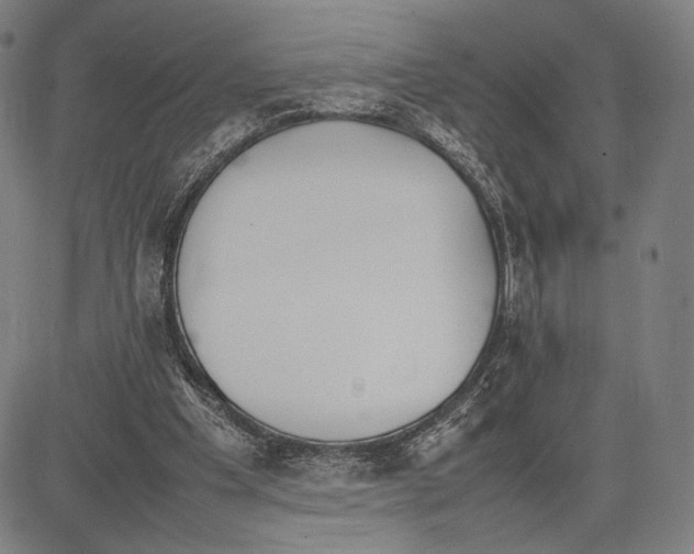 X0000081630201200702121713