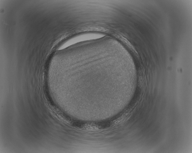 X0000081630207200702121713