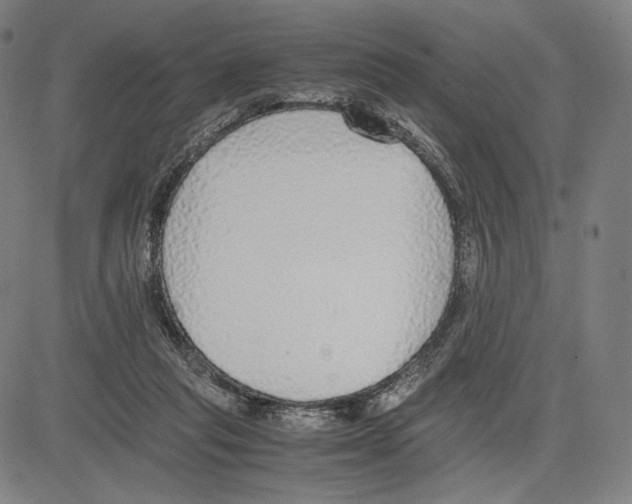 X0000081630261200702121712